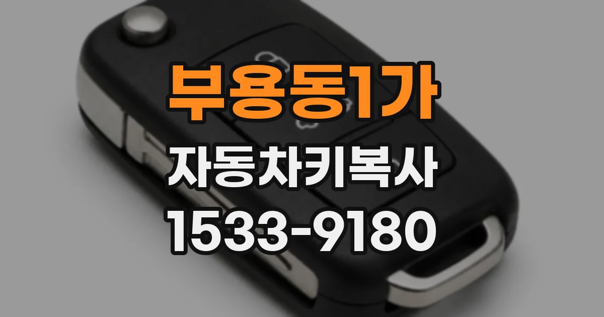 부용동1가 자동차키복사