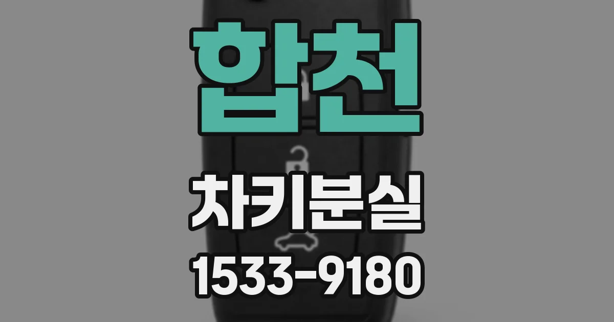 합천 차키분실