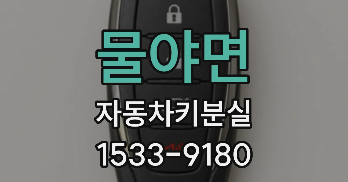 물야면 자동차키분실
