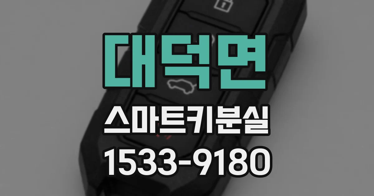 대덕면 스마트키분실