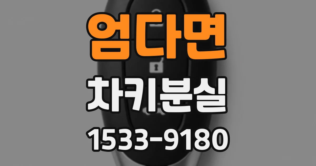 엄다면 차키분실