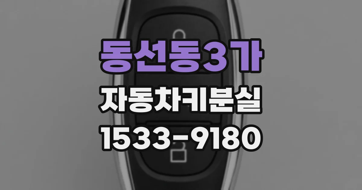 동선동3가 자동차키분실