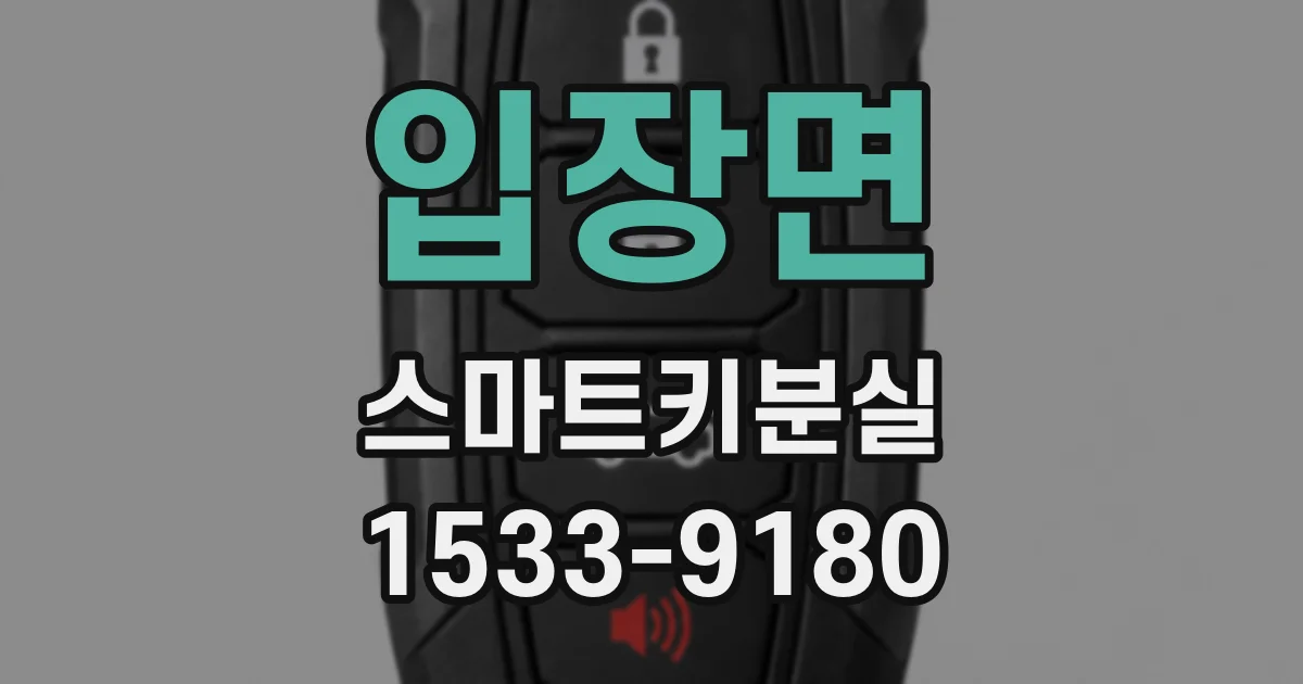 입장면 스마트키분실