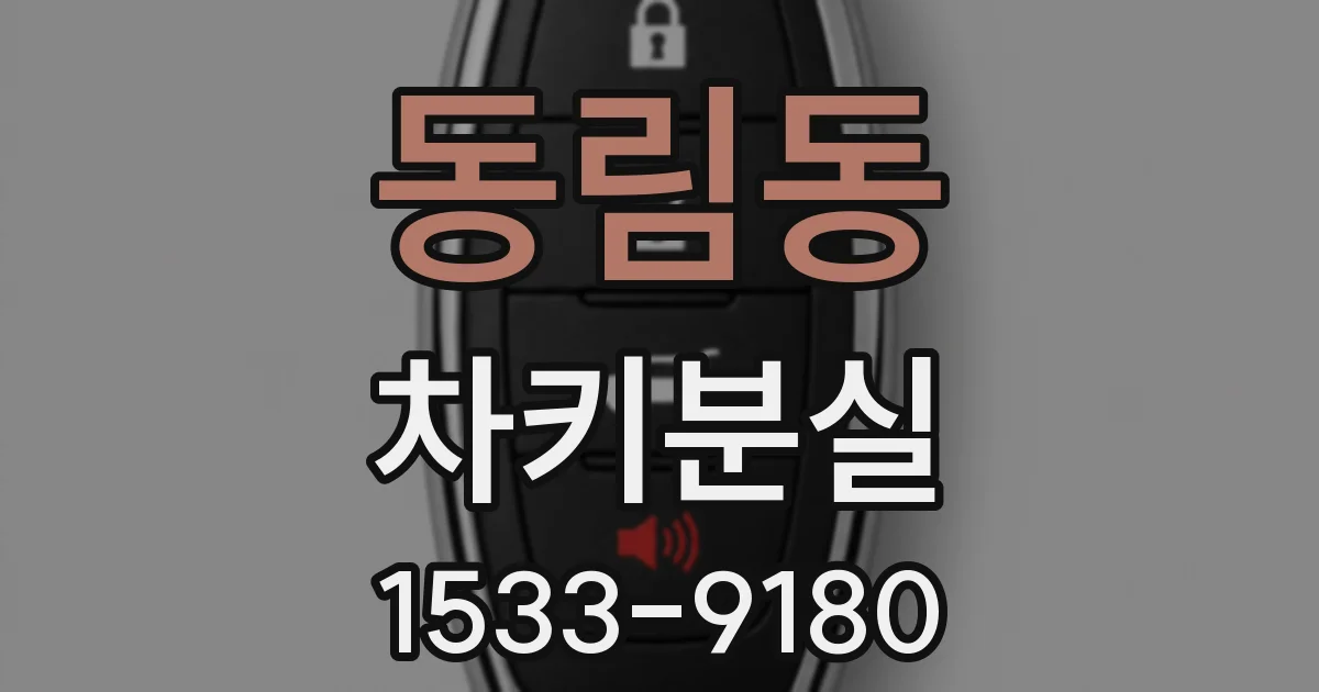 동림동 차키분실