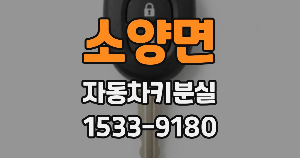 소양면 자동차키분실