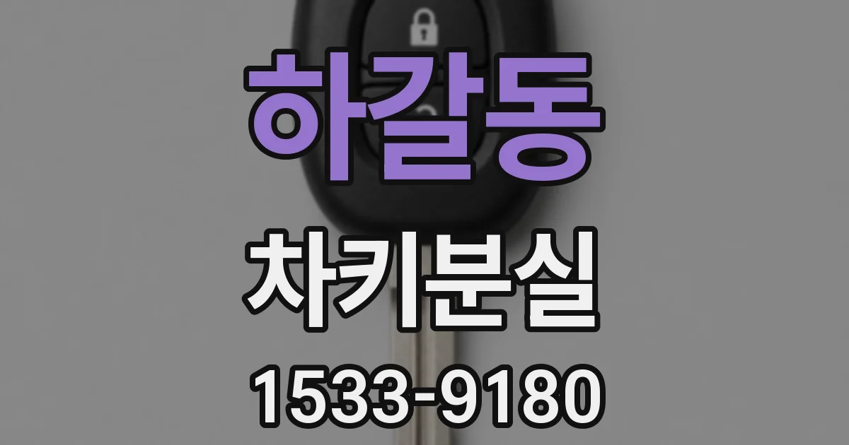 하갈동 차키분실