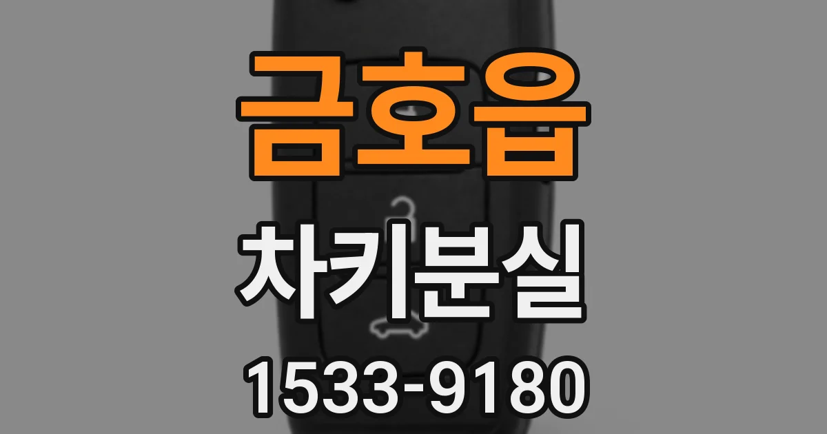 금호읍 차키분실