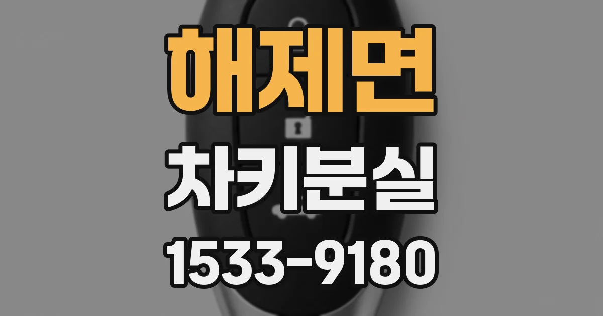 해제면 차키분실