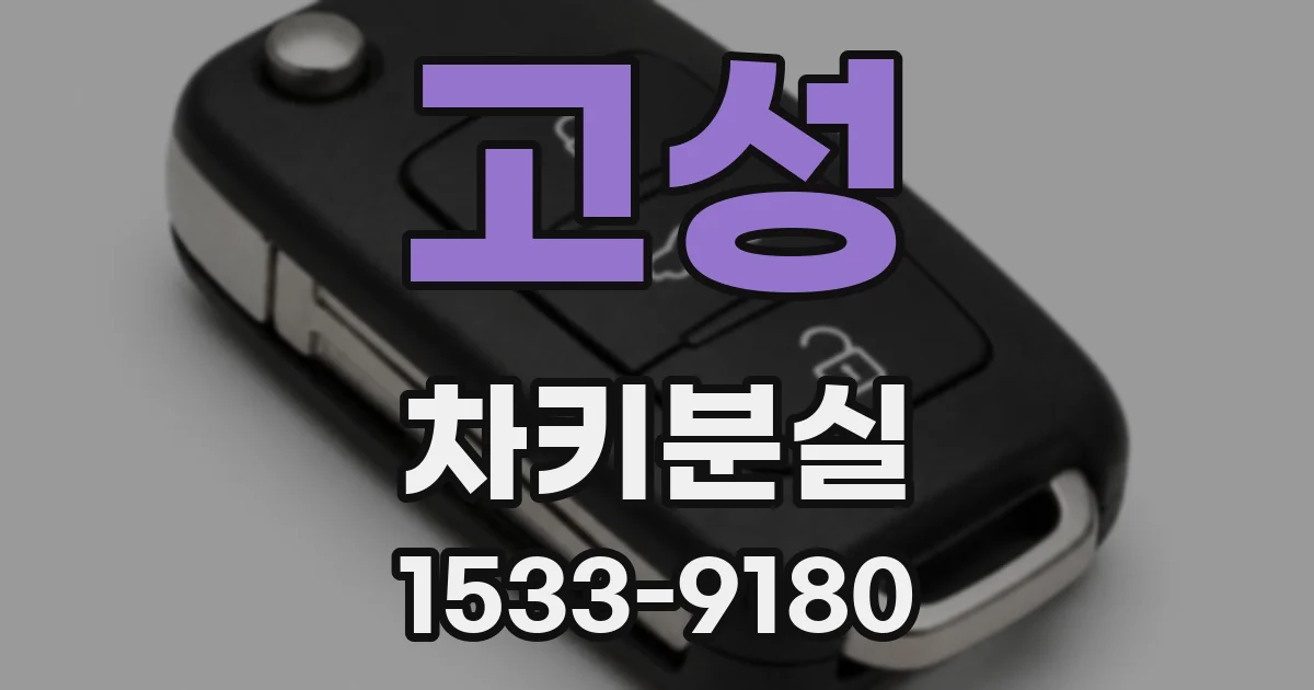 고성 차키분실