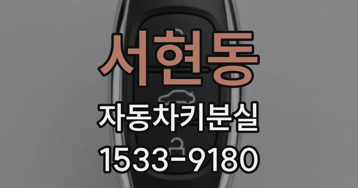 서현동 자동차키분실