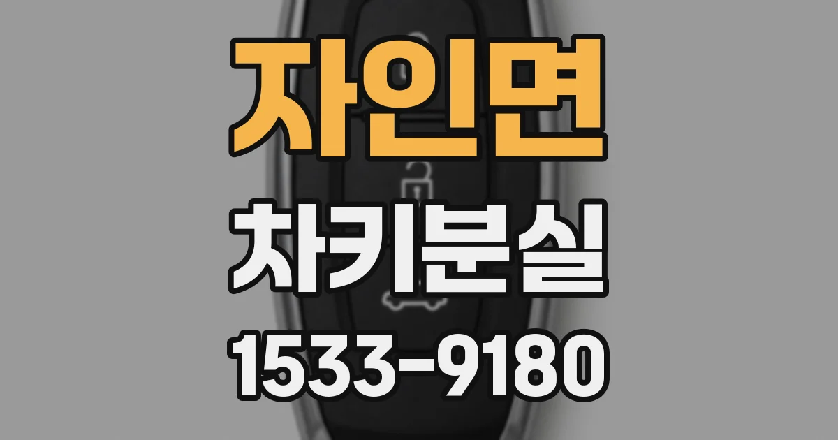 자인면 차키분실