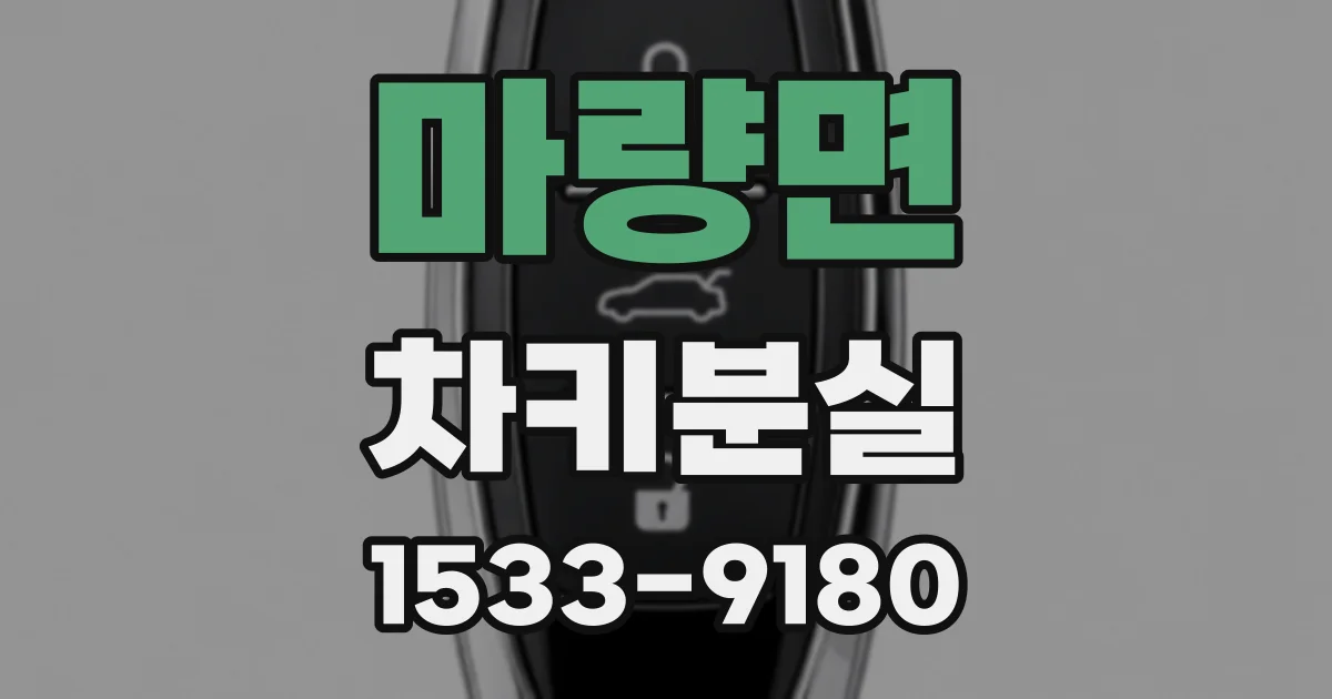 마량면 차키분실