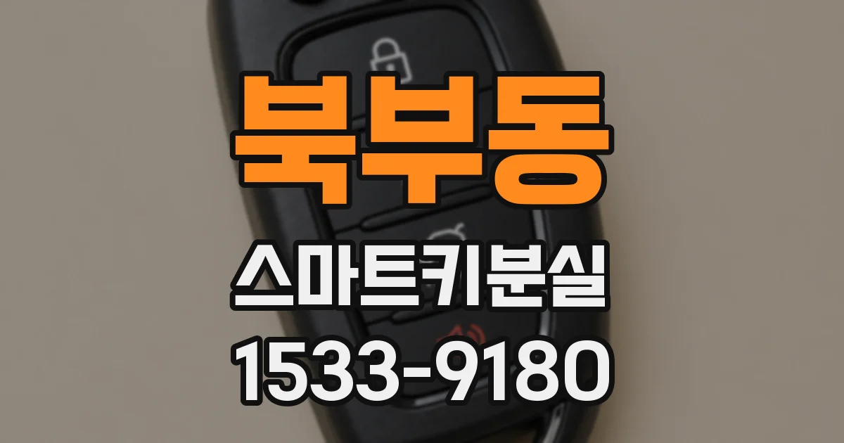 북부동 스마트키분실