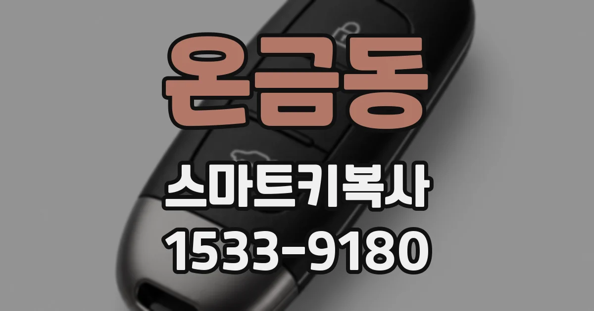 온금동 스마트키복사