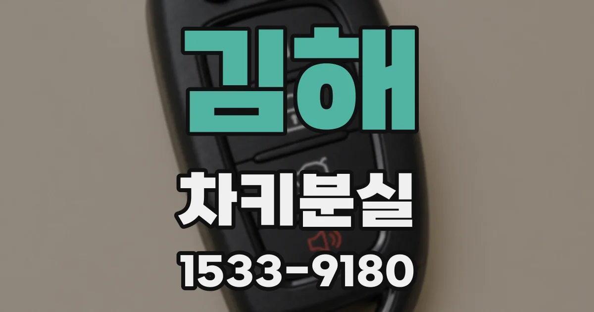 김해 차키분실