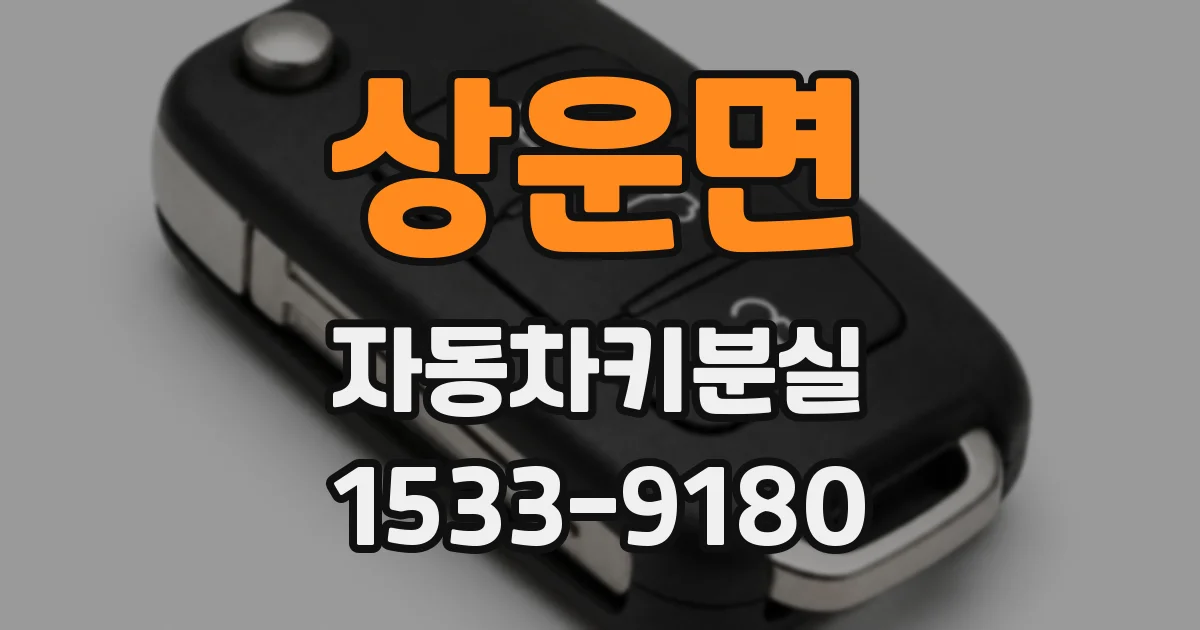 상운면 자동차키분실