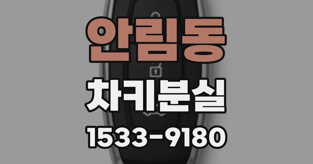 안림동 차키분실