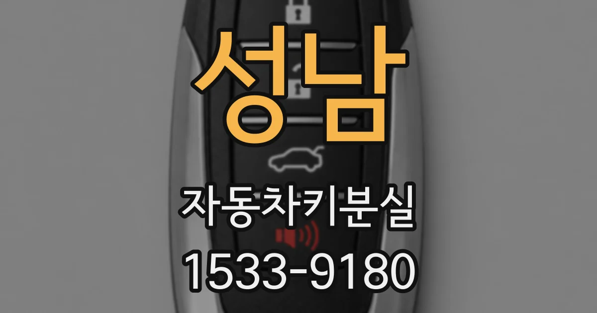 성남 자동차키분실