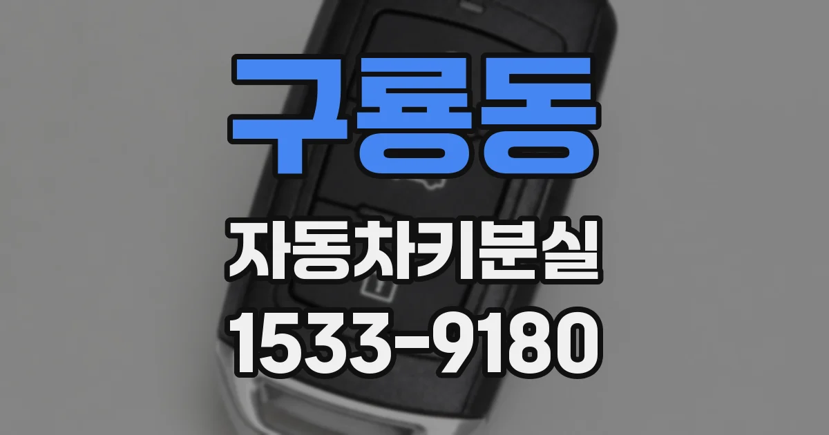 구룡동 자동차키분실