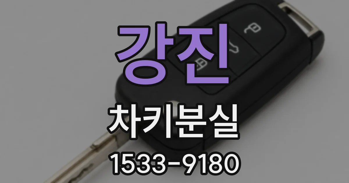 강진 차키분실