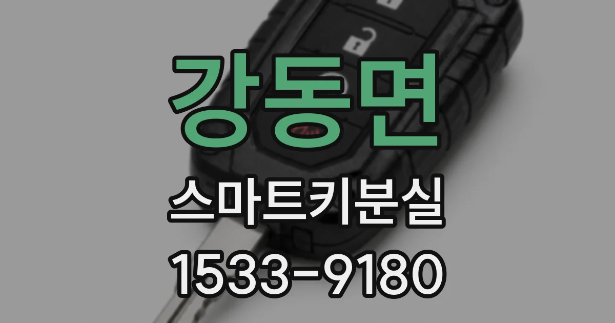 강동면 스마트키분실