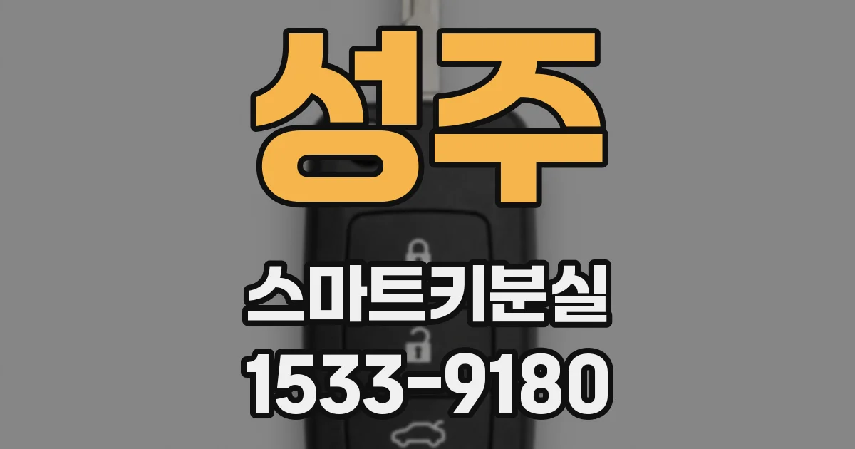 성주 스마트키분실