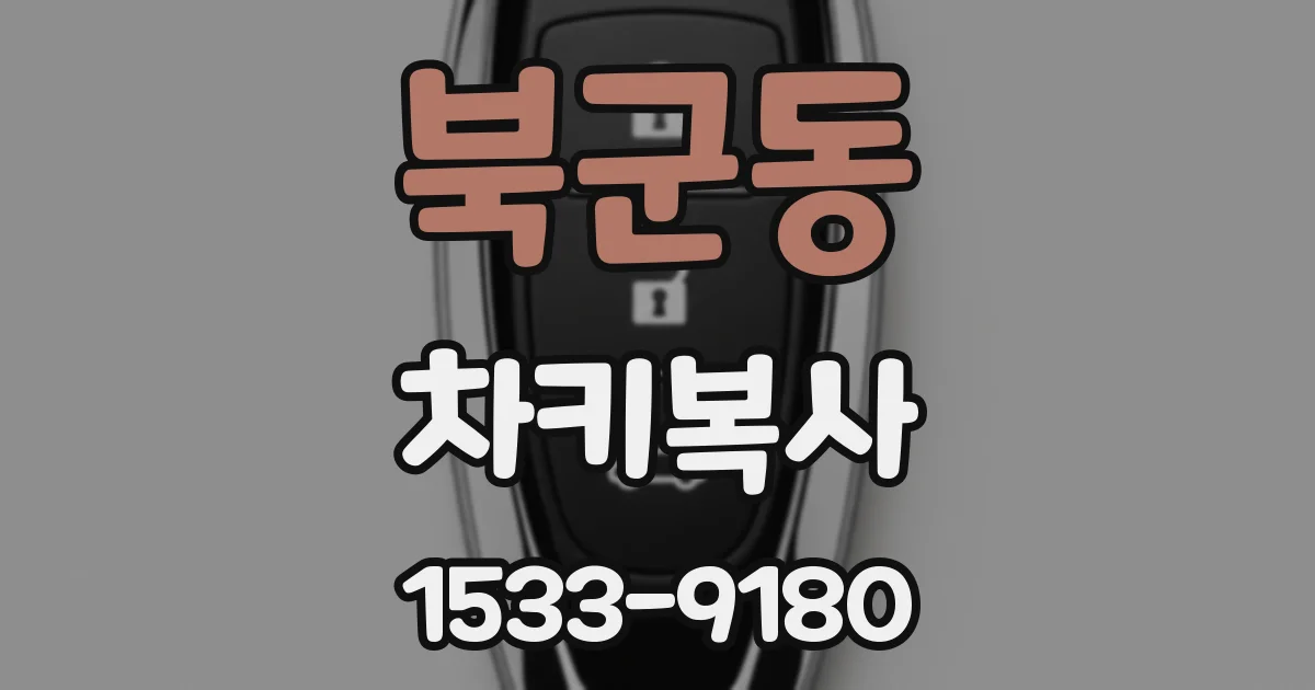 북군동 차키복사