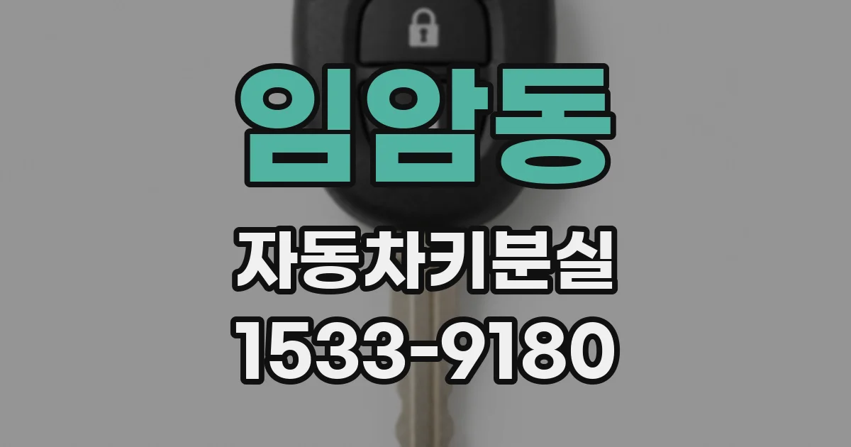 임암동 자동차키분실
