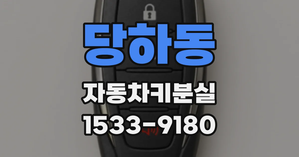 당하동 자동차키분실
