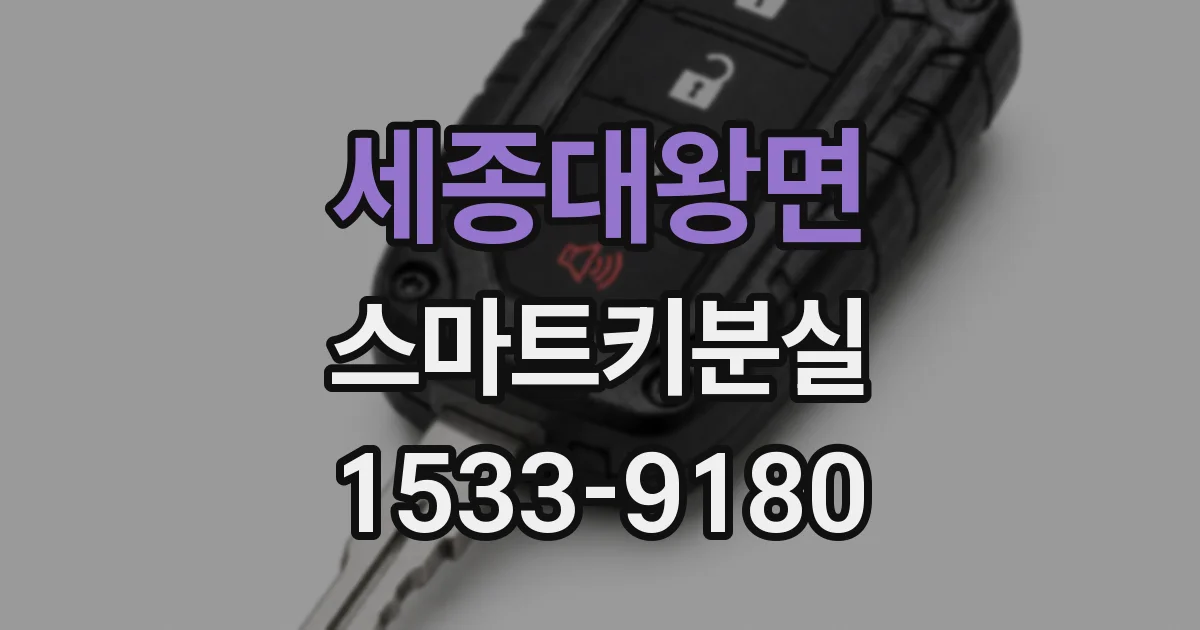 세종대왕면 스마트키분실