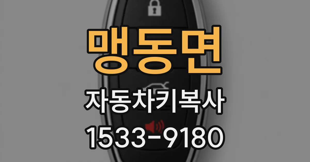 맹동면 자동차키복사