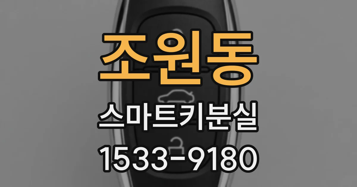 조원동 스마트키분실