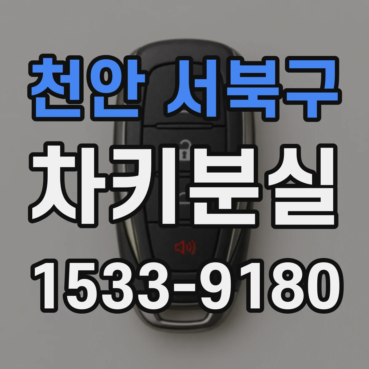 천안 서북구 차키분실