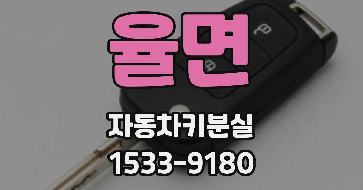 율면 자동차키분실