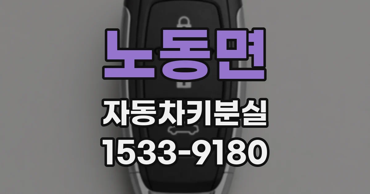 노동면 자동차키분실