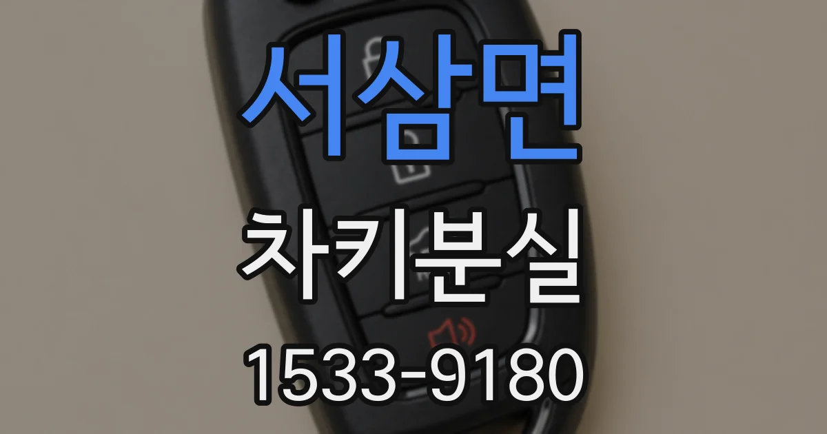 서삼면 차키분실