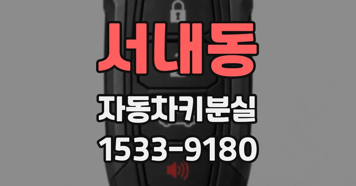서내동 자동차키분실
