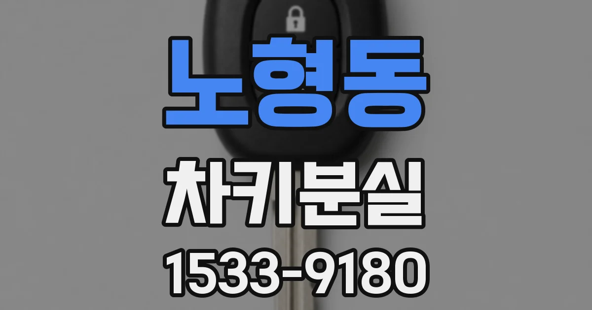 노형동 차키분실