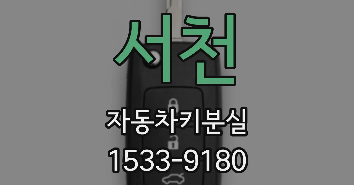 서천 자동차키분실