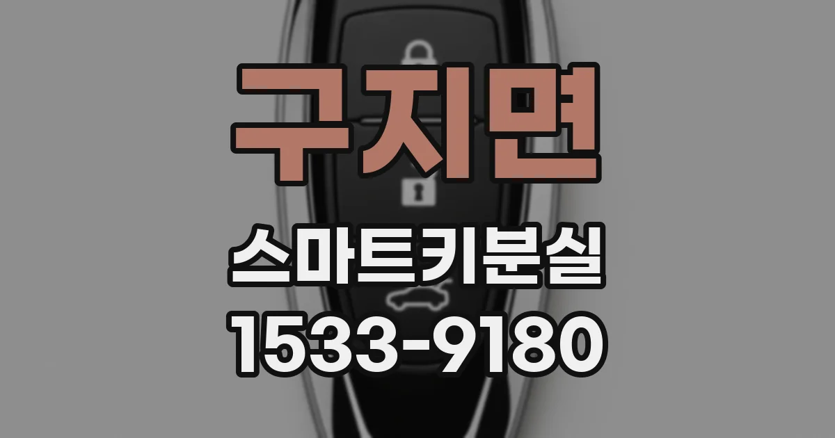 구지면 스마트키분실