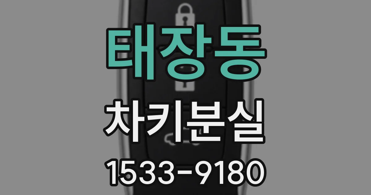 태장동 차키분실