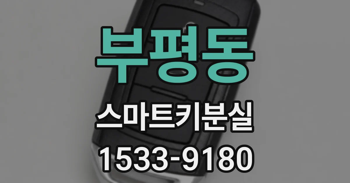 부평동 스마트키분실