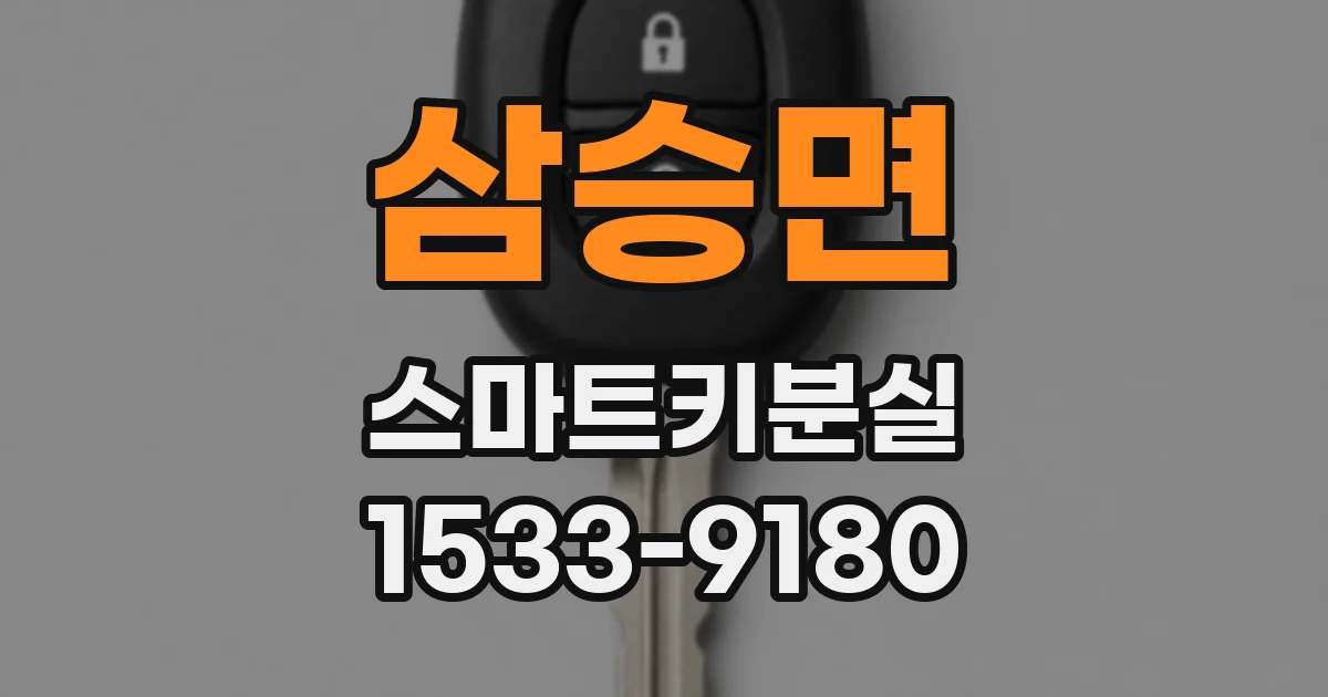 삼승면 스마트키분실