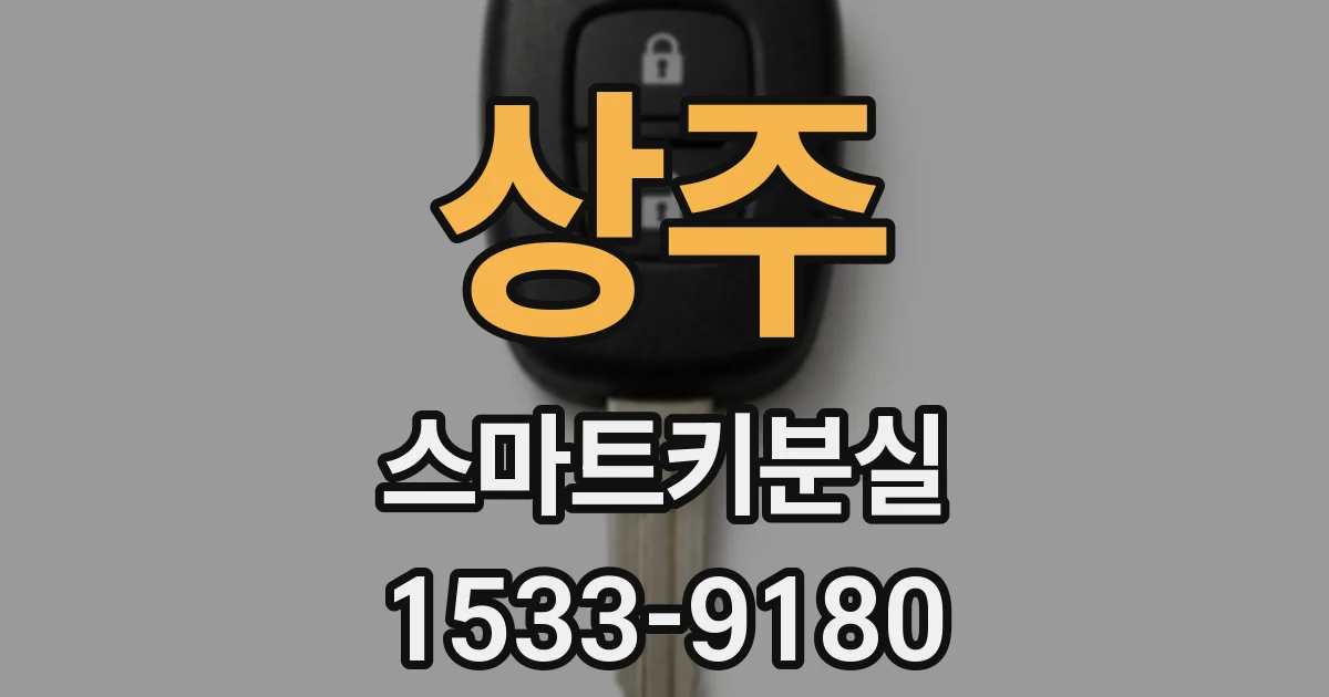 상주 스마트키분실