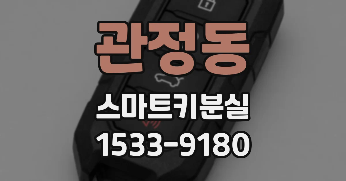 관정동 스마트키분실