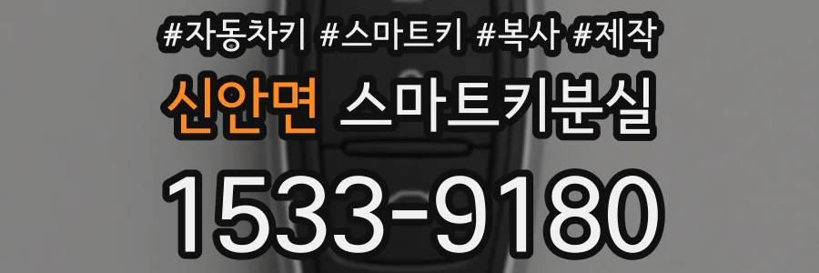 신안면 스마트키분실