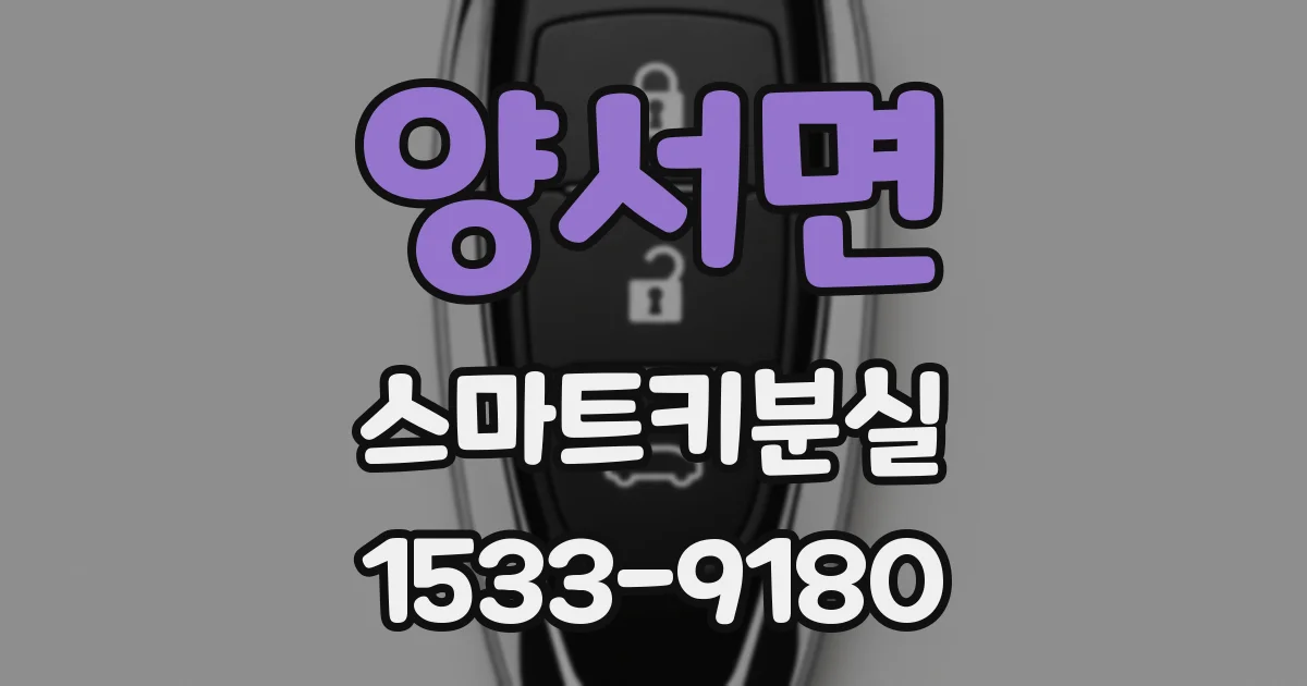 양서면 스마트키분실