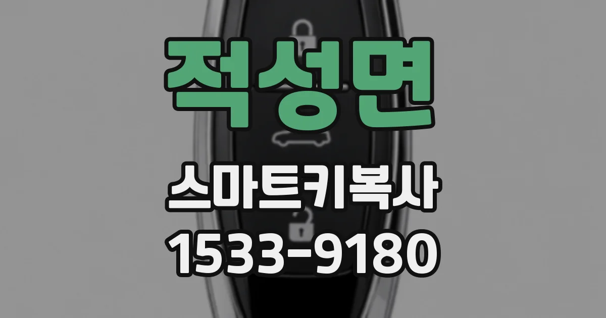 적성면 스마트키복사