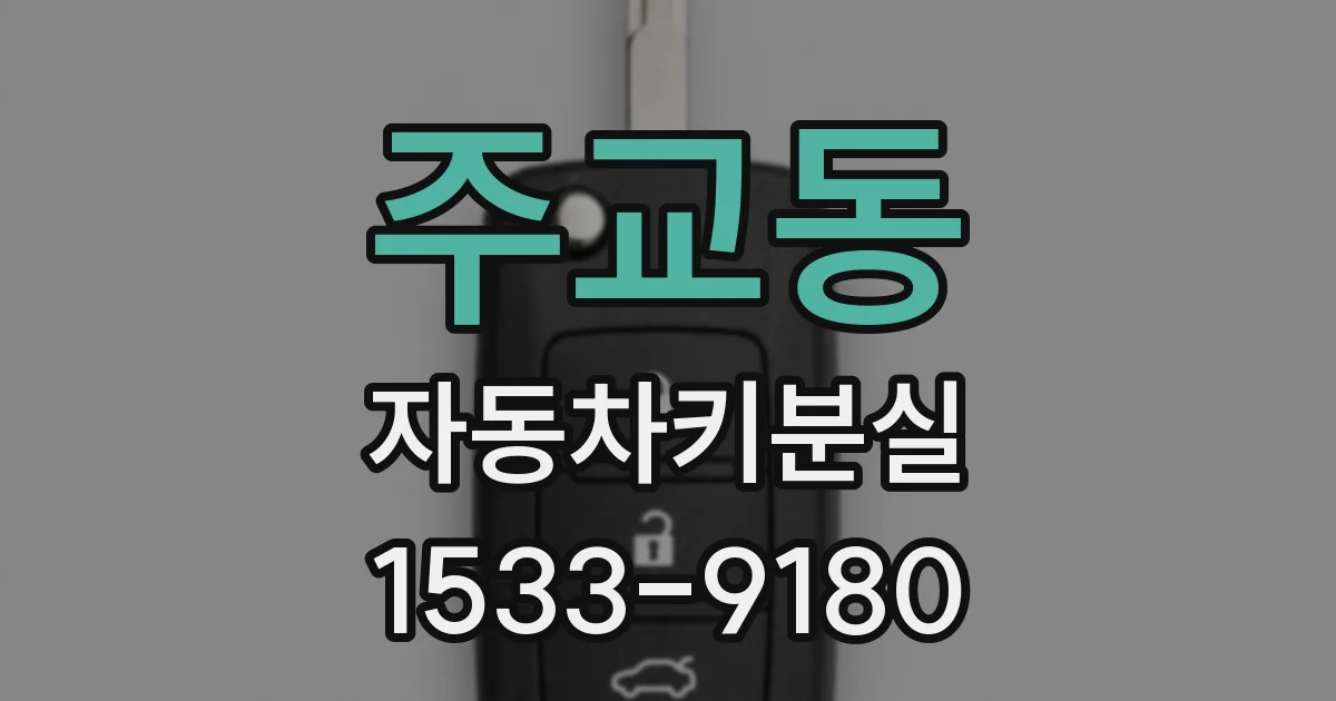 주교동 자동차키분실