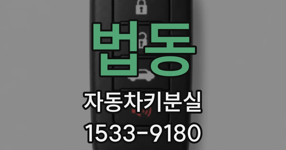 법동 자동차키분실